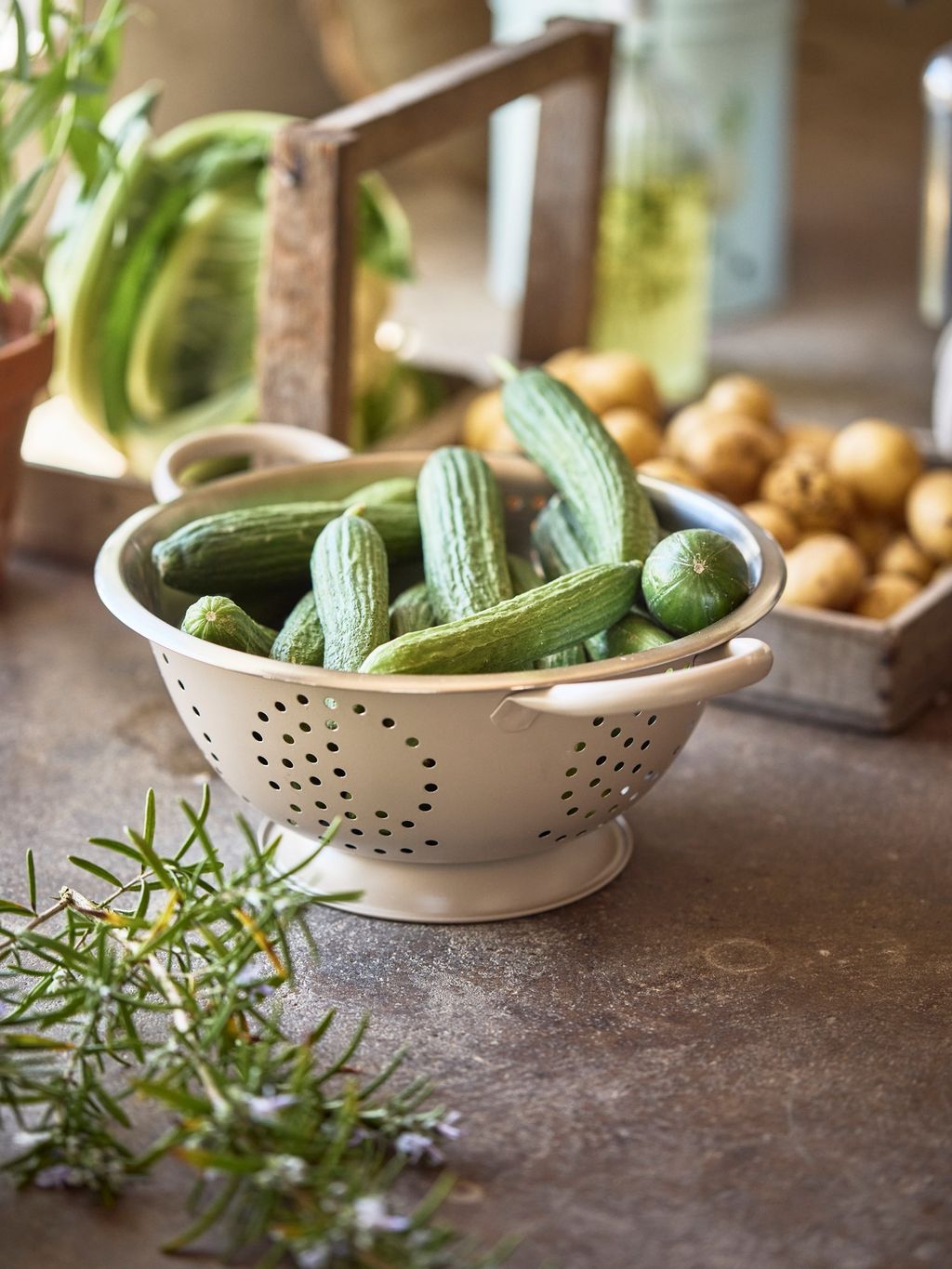 Stainless steel kitchen colander with fresh vegetables